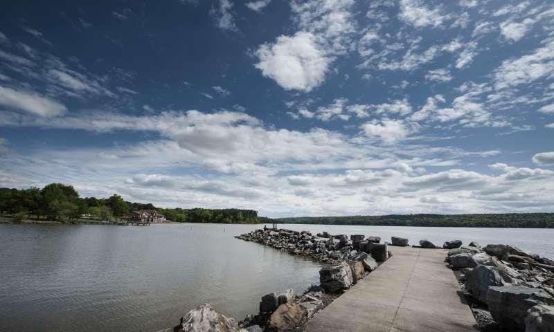 Lake Dardanelle State Park