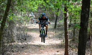 5967fa4c4b3a95b0fcac9325f42d35d9_Fern (1).jpg