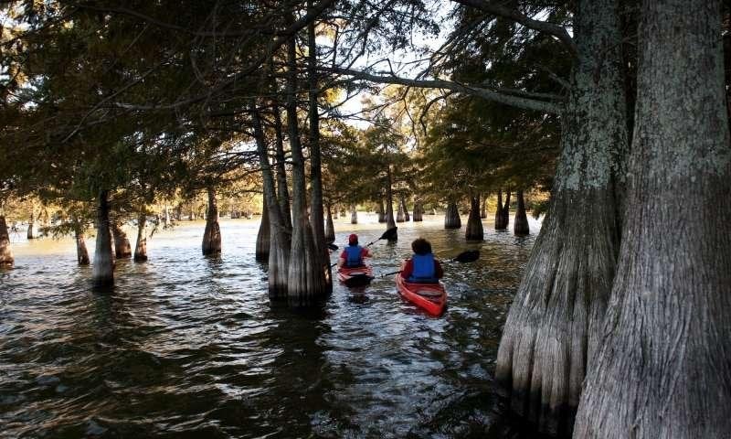 Lake Chicot State Park