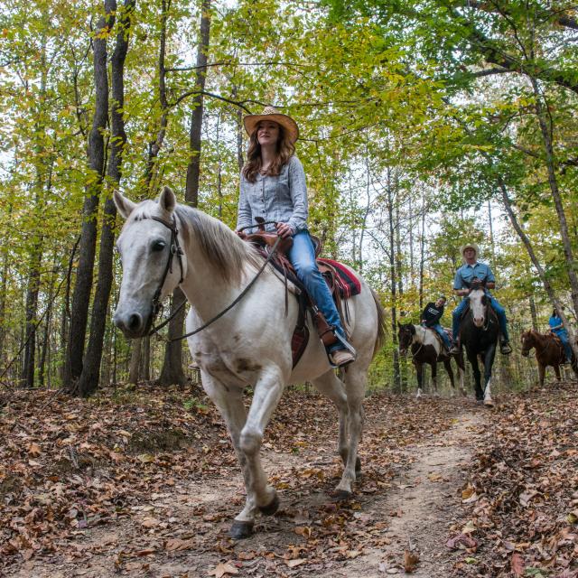 Village Creek State Park