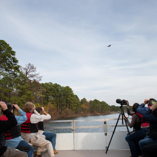 Watchable Wildlife tours at Degray Lake Resort State Park
