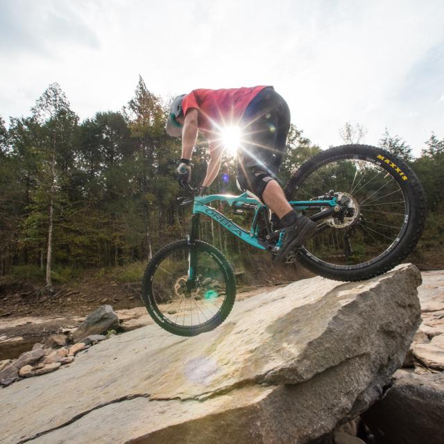 Fossil Flats mountain biking trail at Devil's Den State Park