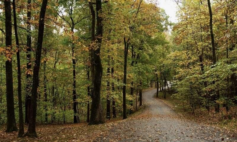 Lake Frierson State Park