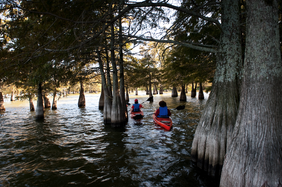 Kayaking on Lake Chicot