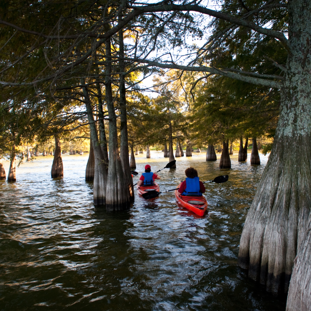 Lake Chicot State Park Kayaking