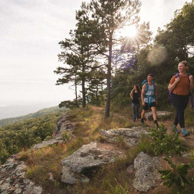 Vista at Mount Magazine State Park